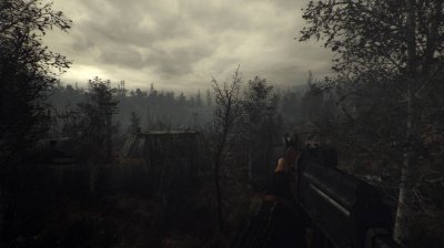 ������� ������� ����