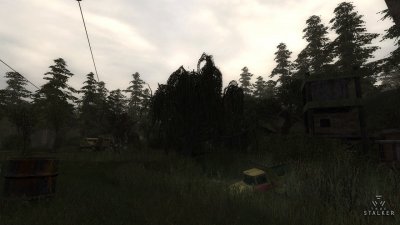 True Stalker ��������� �������