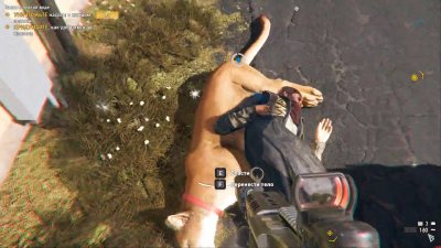 ��� ���� 5