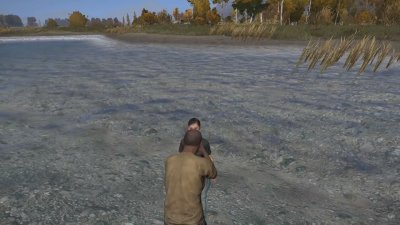 DayZ Standalone ������� � �������