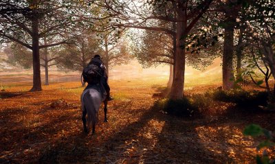 Crimson Desert ��������